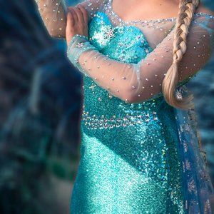 Elsa Frozen Dress , Adult Medium, custom adorned with hundreds of AB rhinestones